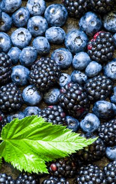 Böğürtlen, yaban mersini ve Ahududu yaprakları ile 