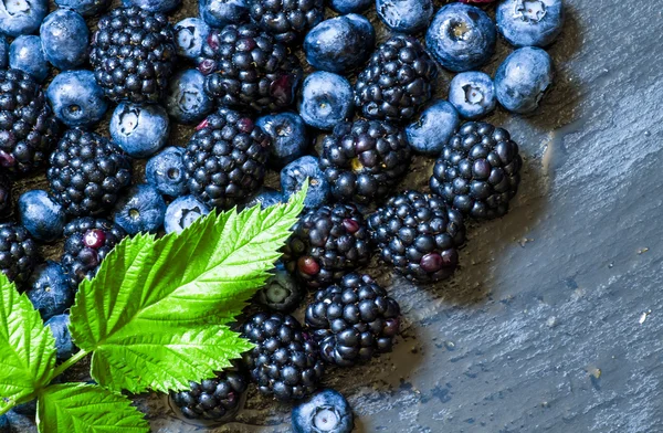 Böğürtlen, yaban mersini ve Ahududu yaprakları ile 