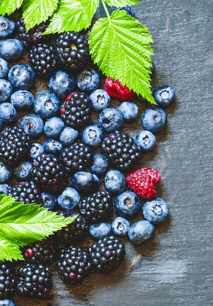 Böğürtlen, yaban mersini ve Ahududu yaprakları ile 