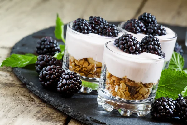 Yoğurt ve böğürtlen ile ev yapımı granola — Stok fotoğraf