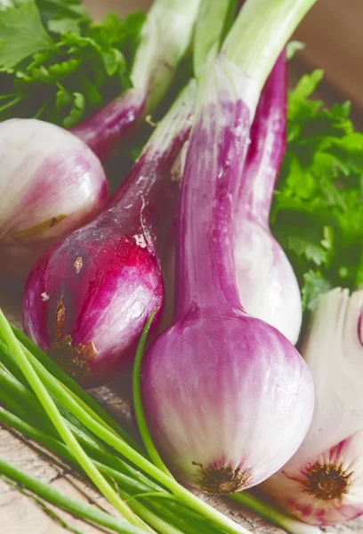 Cipolle rosse biologiche fresche con i gambi — Foto Stock