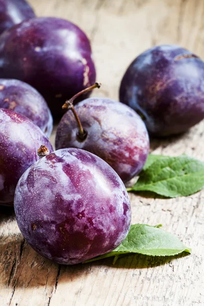 Grandes prunes violettes — Photo