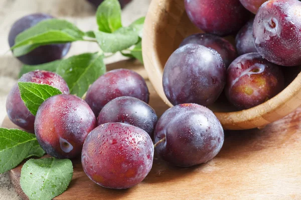 Mavi Erik ahşap bir kaseden döktü