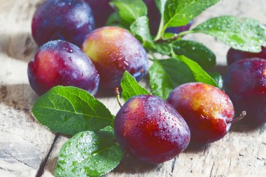 Lezzetli mavi-turuncu Erik 