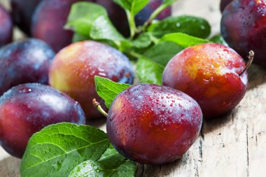 Lezzetli mavi-turuncu Erik 