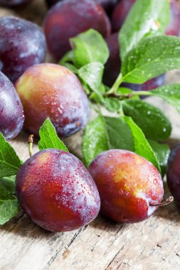 Lezzetli mavi-turuncu Erik 