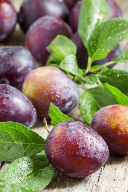 Lezzetli mavi-turuncu Erik 