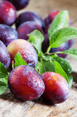 Lezzetli mavi-turuncu Erik 