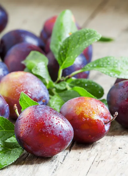 Lezzetli mavi-turuncu Erik 