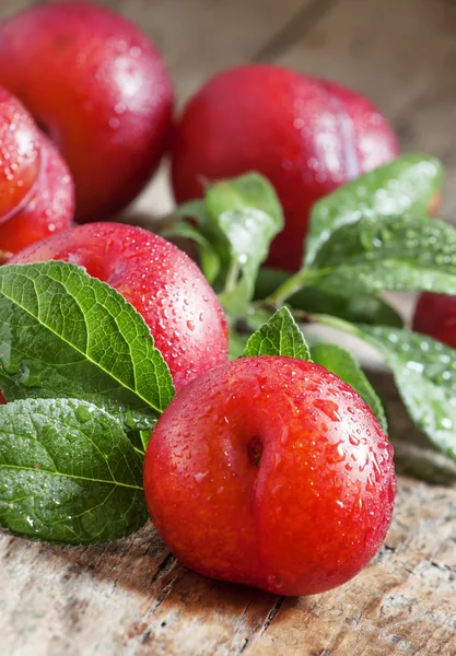 Plum merah matang pada latar belakang kayu tua — Stok Foto