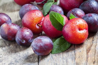 Olgun mavi ve kırmızı Erik 