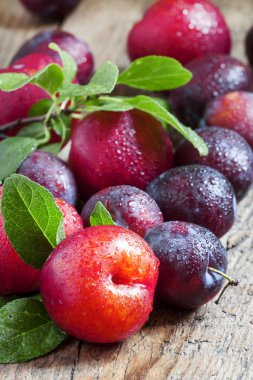 Olgun mavi ve kırmızı Erik