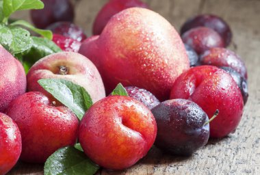 Renkli Erik ve şeftali