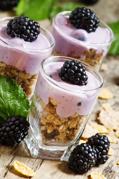 Hausgemachtes Müsli mit Joghurt und Brombeeren — Stockfoto