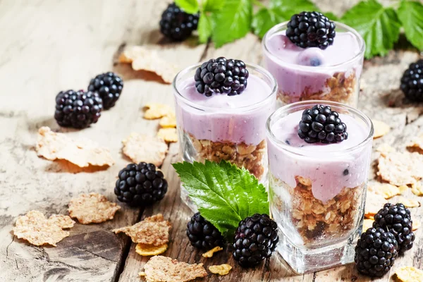 Hausgemachtes Müsli mit Joghurt und Brombeeren — Stockfoto