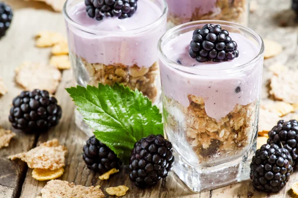 Granola casera con yogur y moras —  Fotos de Stock