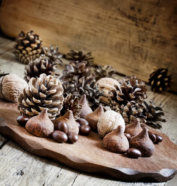 Cones de abeto, nozes, trufas de chocolate — Fotografia de Stock
