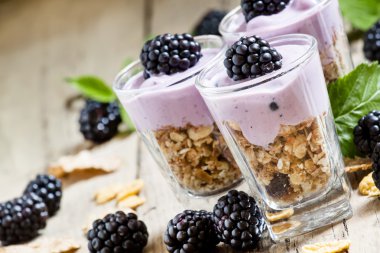 Yoğurt ve böğürtlen ile ev yapımı granola