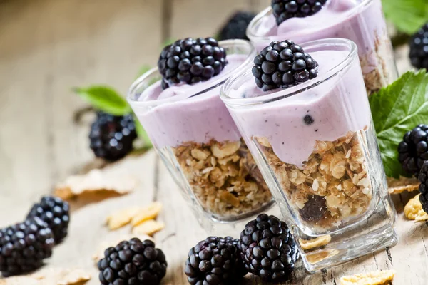 Granola casera con yogur y moras —  Fotos de Stock
