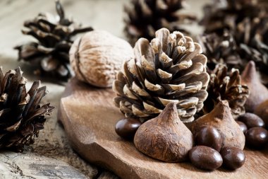 Köknar konileri, fındık, çikolatalı yer mantarı 