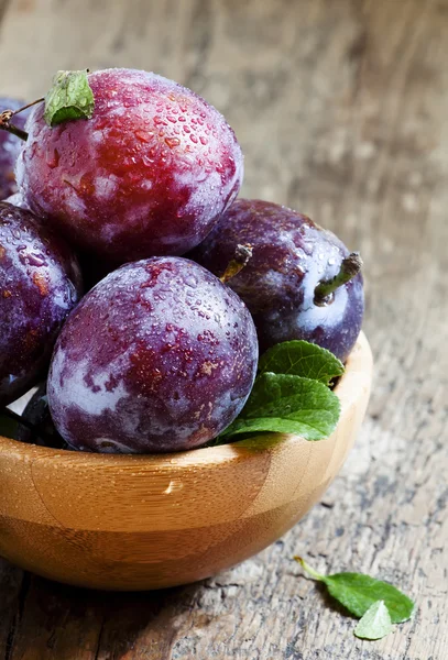 Grandes prunes violettes avec gouttes d'eau et feuilles — Photo