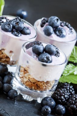 Yoğurt, yaban mersini ve böğürtlen ile ev yapımı granola