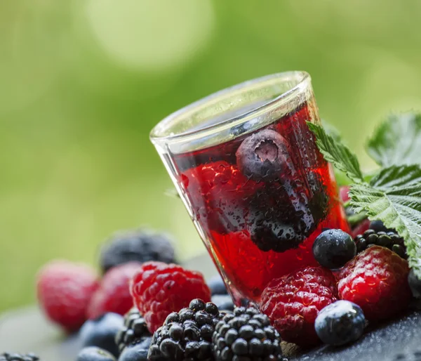 Tea with forest berries — Stock Photo, Image
