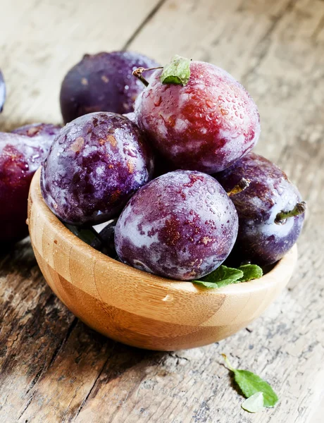 Ciruelas grandes moradas con gotas de agua y hojas — Foto de Stock