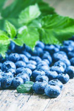 Taze yaban mersini ve yeşil yaprakları 