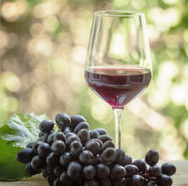 Kırmızı şarap bir bardak ve taze üzüm