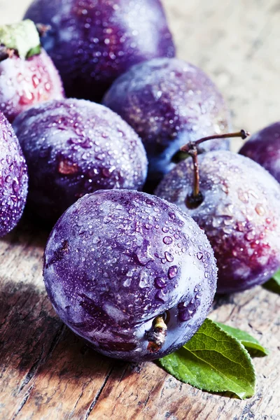 Ciruelas púrpuras grandes con gotas de agua — Foto de Stock