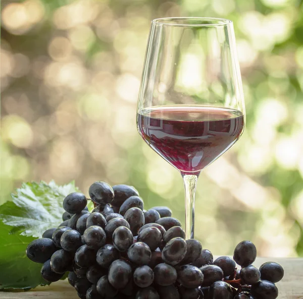 Kırmızı şarap bir bardak ve taze üzüm