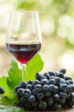 Kırmızı şarap bir bardak ve taze üzüm