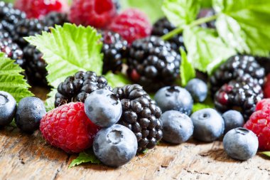 Taze böğürtlen, ahududu ve böğürtlen yaprakları ile 