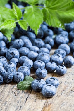 Taze yaban mersini ve yeşil yaprakları 