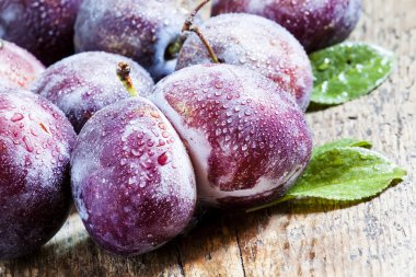 Su damlaları ile büyük mor Erik