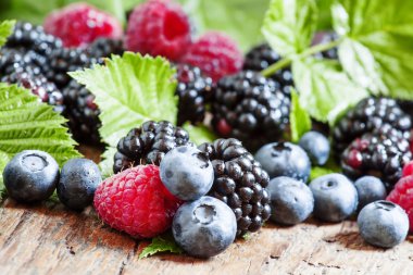 Taze böğürtlen, ahududu ve böğürtlen yaprakları ile 
