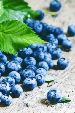 Taze yaban mersini ve yeşil yaprakları 