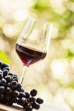 Kırmızı şarap bir bardak ve taze üzüm