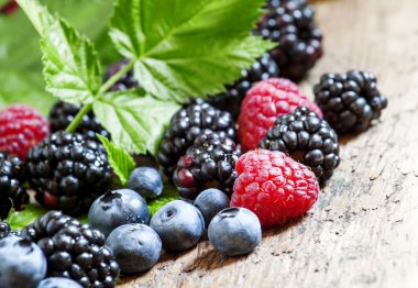 Taze böğürtlen, ahududu ve böğürtlen yaprakları ile 