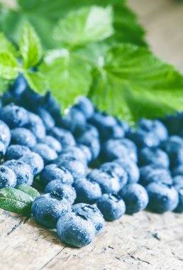 Taze yaban mersini ve yeşil yaprakları 