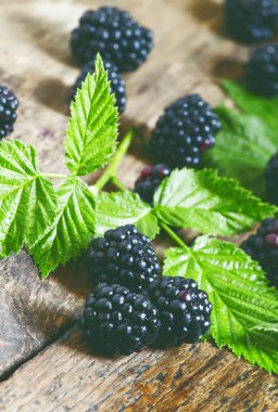 taze böğürtlen yaprakları ile 