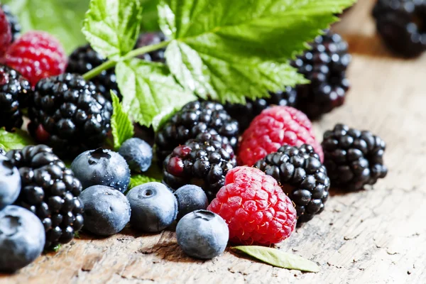 Moras frescas, frambuesas y arándanos con hojas —  Fotos de Stock