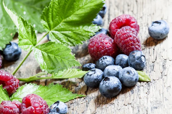 Raspberries and blueberries with leaves — Stock Photo, Image