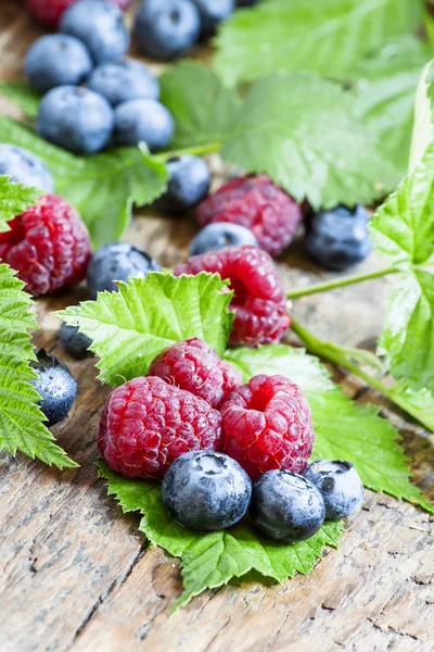 Raspberries and blueberries with leaves — Stock Photo, Image