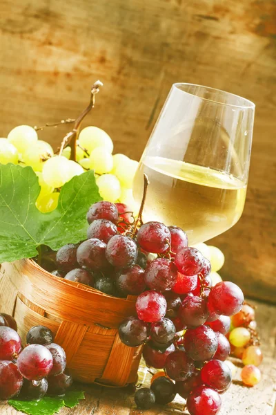 Witte wijn in een glas en groene en rode druiven — Stockfoto