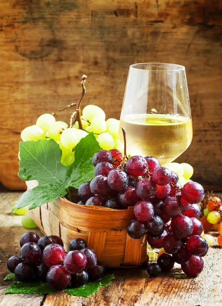 Witte wijn in een glas en groene en rode druiven — Stockfoto