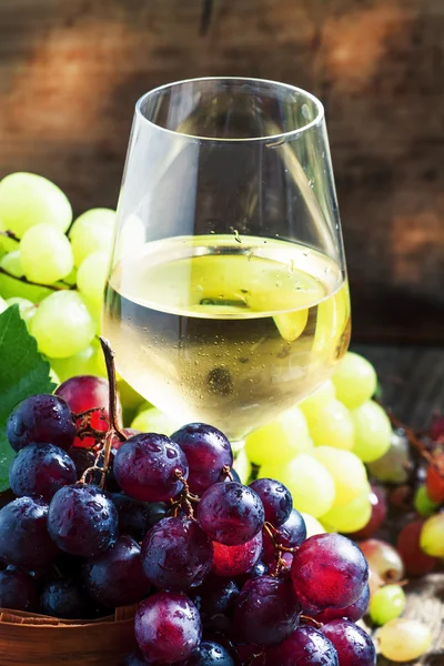 Witte wijn in een glas en groene en rode druiven — Stockfoto