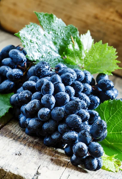 Uvas azules con hojas — Foto de Stock