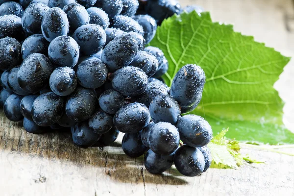 Uvas azules con hojas — Foto de Stock